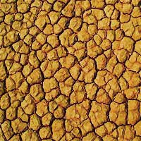 Cracked mud